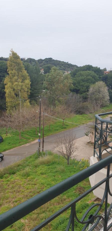 Filoxenia Apartment Artemida  Esterno foto